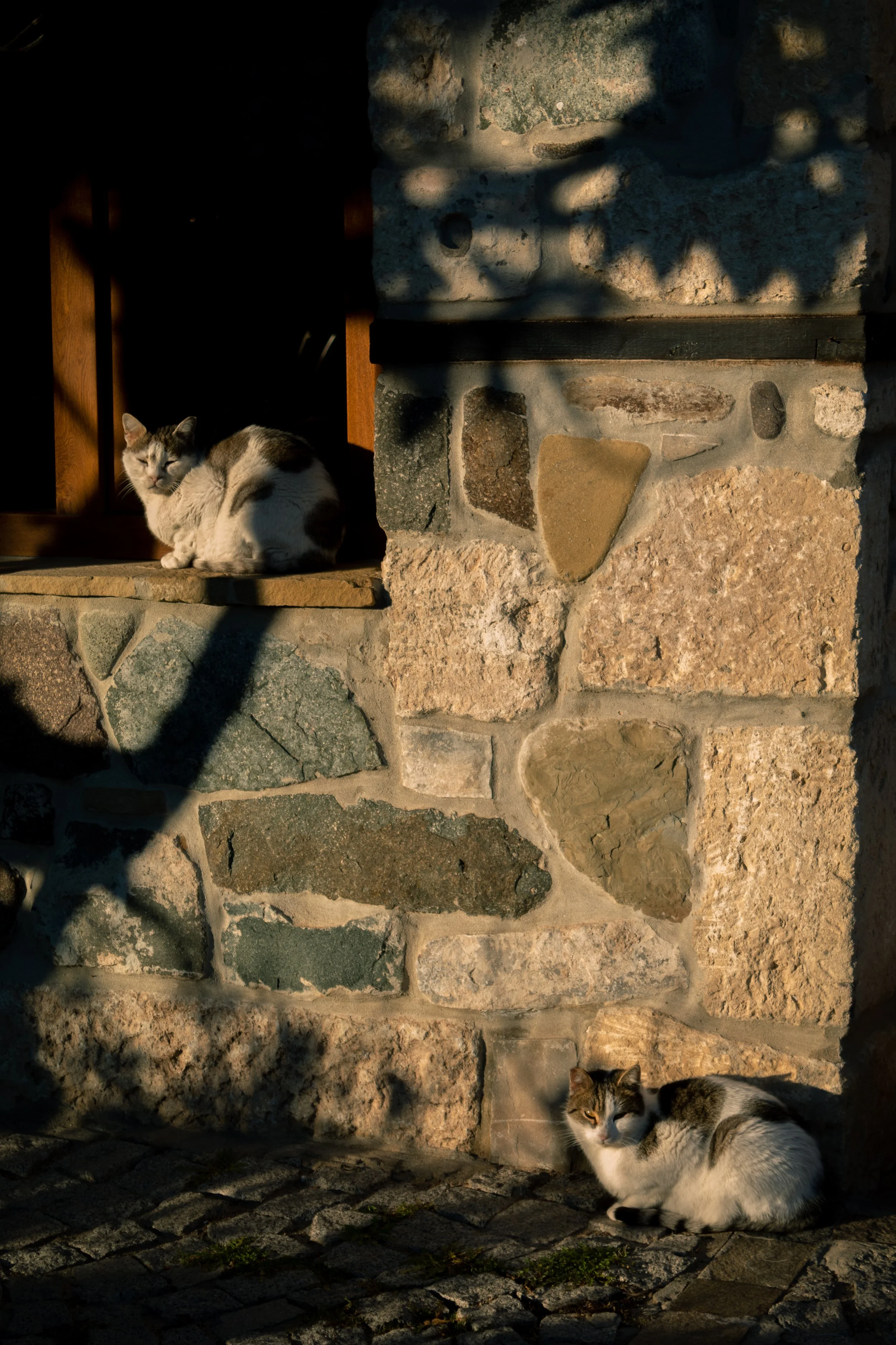 Photograph by Chaa Ustaoglu (85)