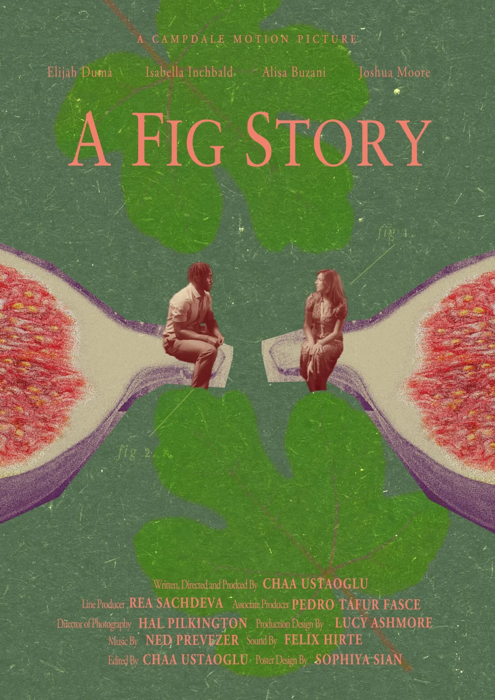 A Fig Story — poster