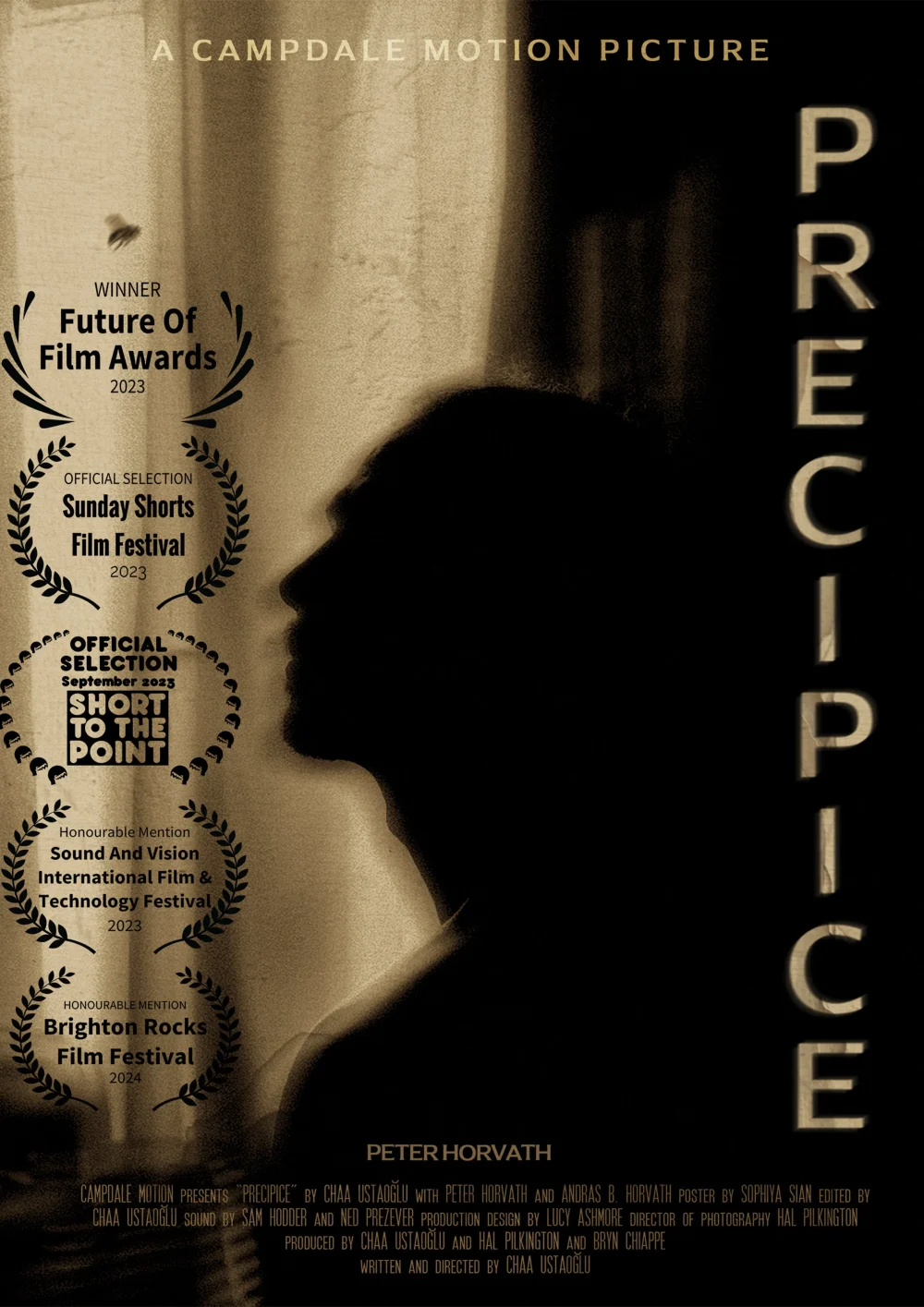 Precipice — poster